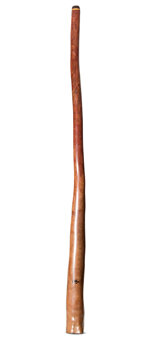 Tristan O'Meara Didgeridoo (TM424)